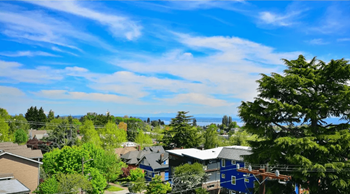 A view of a residential area with houses and trees.